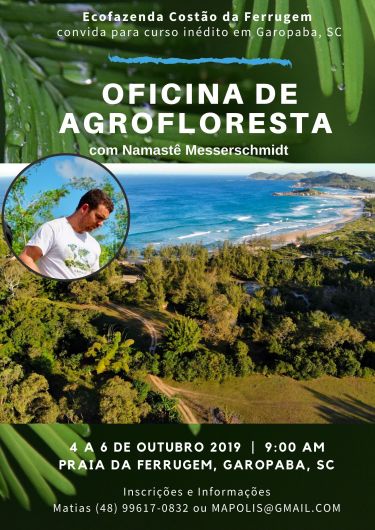 Folder Namastê (1)